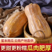 淘宝买菜农场直发 云南新鲜农家老南瓜 9~10斤