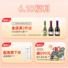 香奈（J.P.CHENET）半甜型白葡萄酒 精品甜蜜系列 法国原瓶进口 甜酒 送礼聚会自饮 整箱