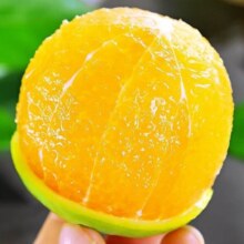 天乐优选 麻阳冰糖橙 5斤 单果60mm