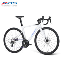 20点：喜德盛 公路自行车RC618PRO可选碳纤前叉20速油碟破风车架桶轴轮组 银/白 PRO版