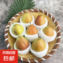 京喜自营-专用品牌 河北红香酥梨带箱4斤 单果120g+