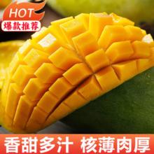 庾丰 三亚金煌芒净重4.5斤 单果200克+