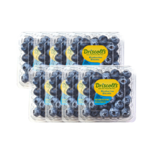 怡颗莓当季云南 蓝莓中果125g*8盒（14-18mm）