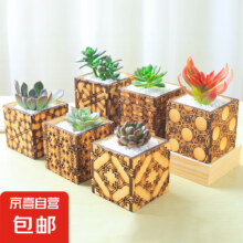 多肉植物花卉盆栽套餐 4个随机多肉+2花纹木盒+送土石