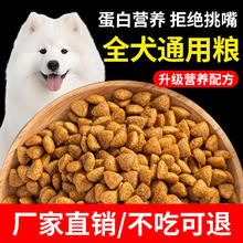 馋小汪 狗粮通用型5斤成犬泰迪博美柯基大型小型犬全面营养含鸡肉犬粮 30g试吃装