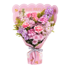 京东鲜花 38妇女节女神节 鲜花花束（源头直发）