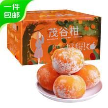爆甜 广西茂谷柑 脏脏柑 9斤装 现摘现发