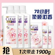 清扬 控油去屑洗发露500g*3+200g+100g*2