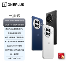 国补、plus会员：一加 13手机 黑曜秘境 12GB+256GB