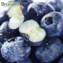 Driscoll's 怡颗莓 Only the Finest Berries 怡颗莓 国产云南蓝莓 蓝莓小果 125g*6盒