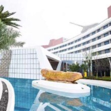 2日无限次入园！上海海昌企鹅万信/度假/海昌度假酒店 1晚+海昌海洋公园2日门票
