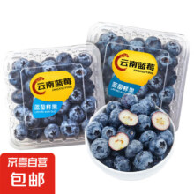 云南蓝莓 精选大果2盒