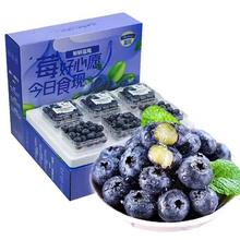 云南新鲜高山蓝莓 特大果15mm＋ 单盒125g *4盒