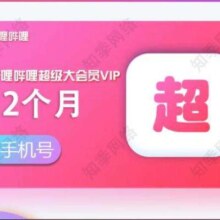 哔哩哔哩大会员1年