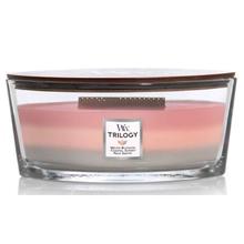 【含税直邮】WoodWick 椭圆形香薰蜡烛，Shoreline Trilogy，16 盎司 约453.59克
