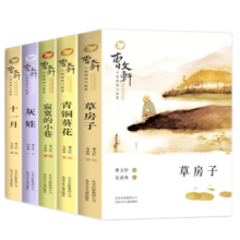 曹文轩小说阅读与鉴赏（第一辑全5册）草房子+青铜葵花+寂寞的小巷+灰娃+十一月小学生阅读儿童文学书籍