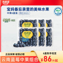 Driscoll's 怡颗莓 云南新鲜水果蓝莓6盒 125g/盒 中果 14-17mm