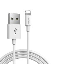 罗马仕 iPhone数据线 1m