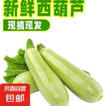 京喜 新鲜西葫芦 2斤 尝鲜装