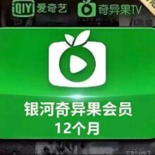爱奇艺白金VIP会员年卡12个月