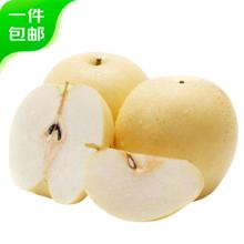 京鲜生 河北皇冠梨 净重3斤 单果200g+ 生鲜水果 源头直发 一件