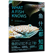 鱼什么都知道