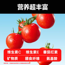 一颗大 玲珑串樱桃番茄小西红柿新鲜自然熟孕妇应季水果1kg/盒