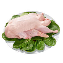 华英 精选樱桃谷嫩鸭 1.9kg
