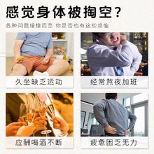 枸杞桑葚茶黑枸杞红枣干男士养生茶包女人熬夜泡水喝的东西花果茶