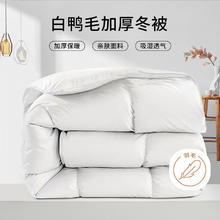 OBXO 源生活 暖绒 100%白鸭毛羽毛被芯 7斤 200*230cm 白色