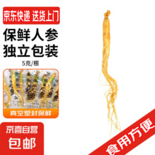 新鲜人参 真空塑封独立包装 5g/根 *1根