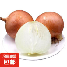 京喜加 新鲜黄洋葱 500g 含箱