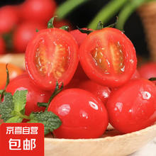 京喜 广西圣女果新鲜水果 带箱2斤精选果