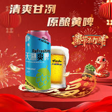 天湖啤酒 8度拉格啤酒 500ml*6听