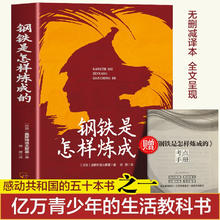 钢铁是怎样炼成的 无删减全译本送考点手册 小说