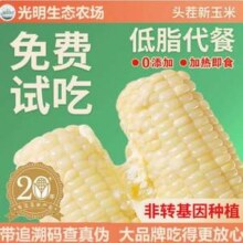 光明农场 非转基因白糯玉米 260g*8根
