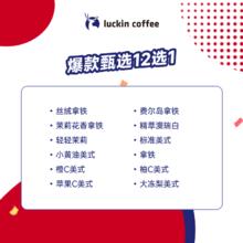 瑞幸咖啡 甄选12选1 15天有效 限自提