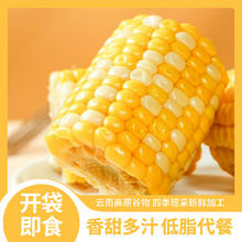 京百味 开袋即食金银水果玉米段 10-12段 净重2斤