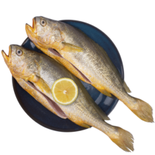 1号会员店【山姆同厂】冷冻宁德三去大黄鱼 黄花鱼 净重700g/2条装 水产鱼