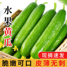 康师傅 番茄鸡蛋牛肉面