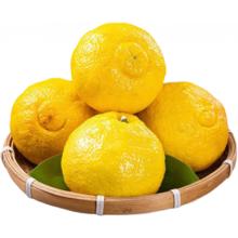 大红门 老北京五香鸡 400g*1袋