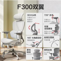 网易严选 F300双翼护腰 人体工学电脑椅办公椅  有搁脚款