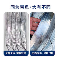 今锦上 东山岛海钓带鱼礼盒 4斤 500-700g/条