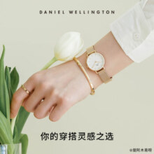 丹尼尔惠灵顿（DanielWellington）DW手镯男首饰玫瑰金手环情侣对镯生日礼物送男友DW00400001