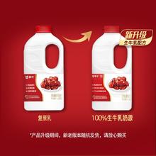 蒙牛红枣大桶1kg*2桶中华滋养红枣风味酸奶营养早餐奶
