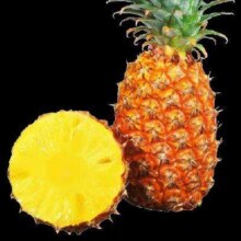 海南 金钻凤梨 带箱1.8-2斤（单果1斤左右）