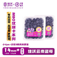 佳沃 云南当季蓝莓MBO系列 14mm+中果 2盒装 约125g/盒 生鲜水果