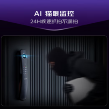凯迪仕 智能门锁 Q20F Pro