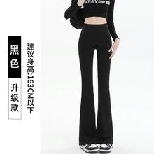 展雀 Z微喇鲨鱼裤女外穿2025秋春季高腰提臀瑜伽喇叭裤