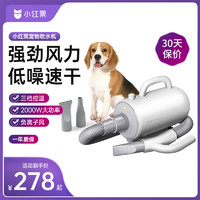 小红栗 REDMINUT 宠物吹风机 低噪大功率大型犬Mini白